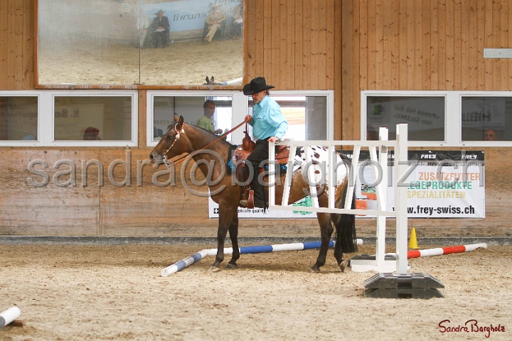 28-ApHC OT_100.jpg